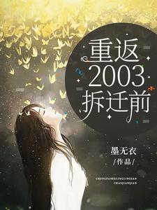 重返2003完整版免费33集